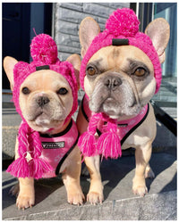 Gorro Pet | Para Cachorro e Gato
