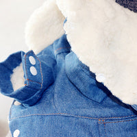 Jaquetinha Jeans | Para Cachorro